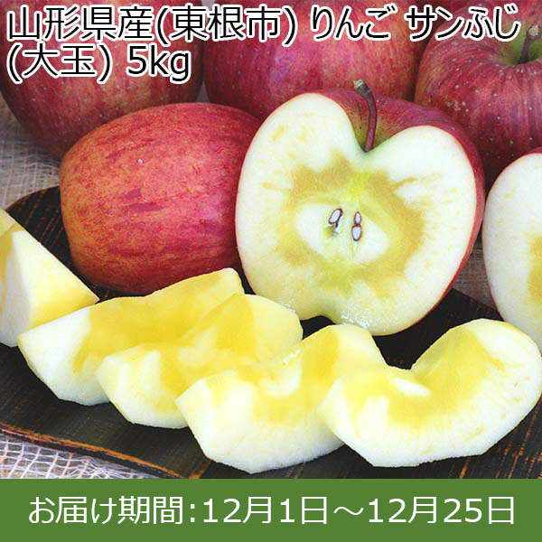 山形県産(東根市) りんご サンふじ(大玉) 5kg【限定100点】【お届け期間：12月1日〜12月25日】 【イオンカード会員限定12月】　商品画像1