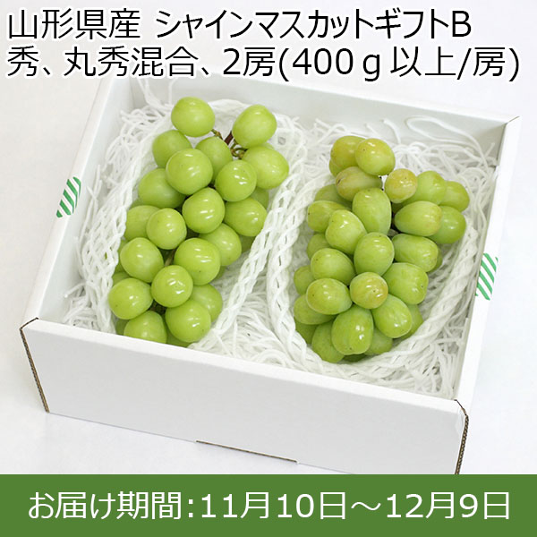 山形県産 シャインマスカットギフトB 秀、丸秀混合、2房(400ｇ以上/房)【限定100点】【お届け期間：11/10(日)〜12/9(月)】【ふるさとの味・南関東】　商品画像1