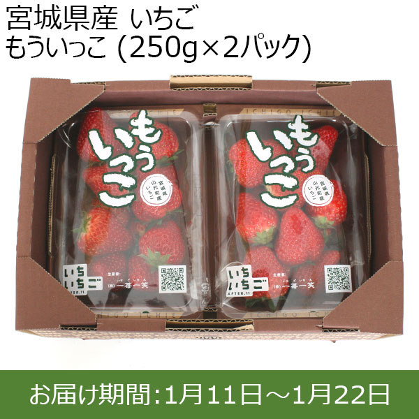 宮城県産 いちご もういっこ (250g×2パック)【お届け期間：1月11日〜1月22日】【Ａセレクション1月】　商品画像1