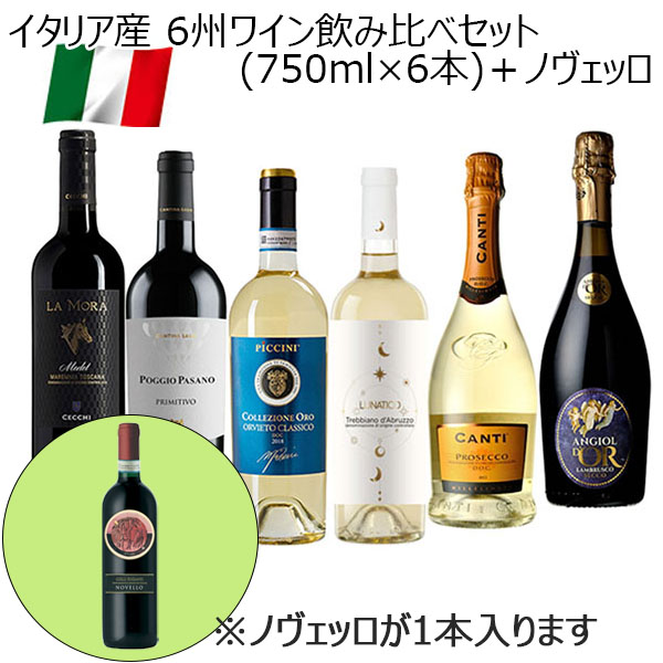 イタリア産 6州ワイン飲み比べセット＋イタリア新酒コッリエウガネイ ノヴェッロ2024付き(各750ml)【おいしいお取り寄せ】　商品画像1