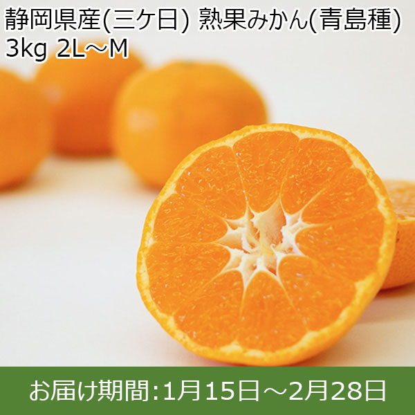 静岡県産(三ケ日) 熟果みかん(青島種)3kg 2L〜M【お届け期間：1月15日〜2月28日】【イオンカード会員限定1月】　商品画像1