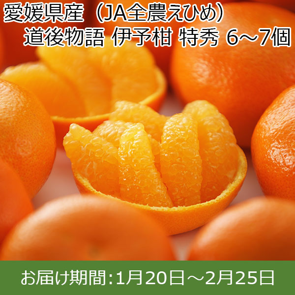 愛媛県産(JA全農えひめ) 道後物語 伊予柑 特秀 6〜7個【限定20点】【お届け期間：1月20日〜2月25日】【イオンカード会員限定1月】　商品画像1