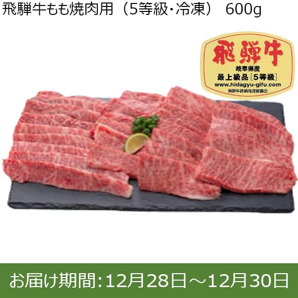 岐阜県産 飛騨牛もも焼肉用(5等級・冷凍)600g【限定50点】 【お届け期間：12/28(土)〜12/30(月)】【年末年始ごちそう特集】【ふるさとの味・東海】　商品画像1