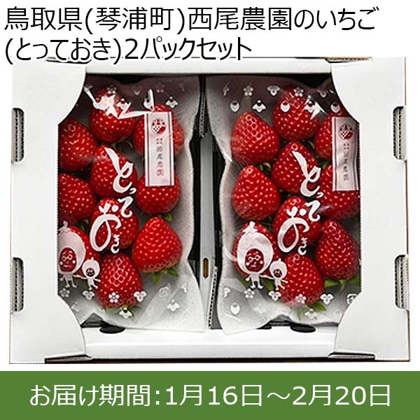 鳥取県(琴浦町)西尾農園のいちご(とっておき)2パックセット250g以上×2パック【お届け期間:1月16日〜2月20日】【ふるさとの味・中四国】　商品画像1