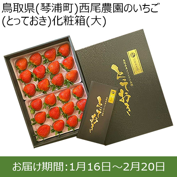 鳥取県(琴浦町)西尾農園のいちご(とっておき)化粧箱(大) 24〜30粒入り【お届け期間:1月16日〜2月20日】【ふるさとの味・中四国】　商品画像1