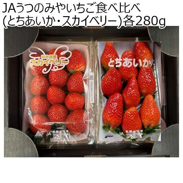 (栃木県)JAうつのみやいちご食べ比べ(とちあいか・スカイベリー)各280g【限定100点】【お届け期間2025/1/7-2025/3/1】【ふるさとの味・北関東】　商品画像1