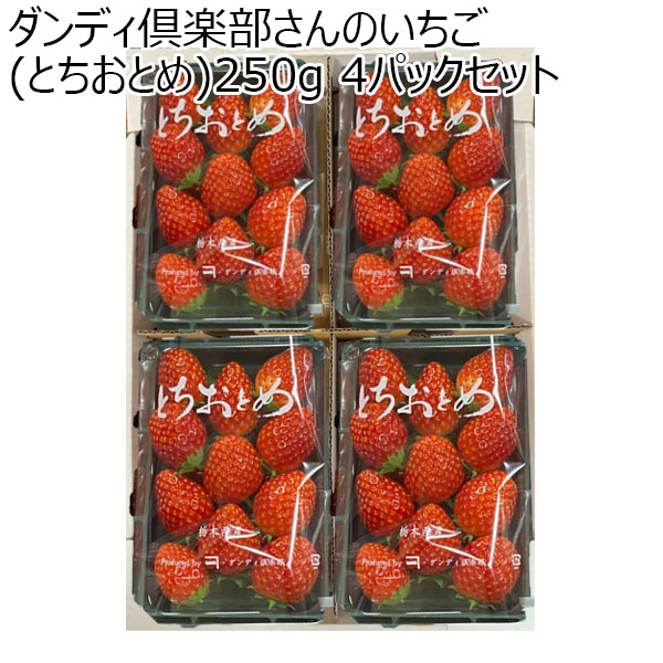 (栃木県)真岡市地区ダンディ倶楽部さんのいちご(とちおとめ)250g 4パックセット【お届け期間2025/1/7-2025/3/31】【ふるさとの味・北関東】　商品画像1