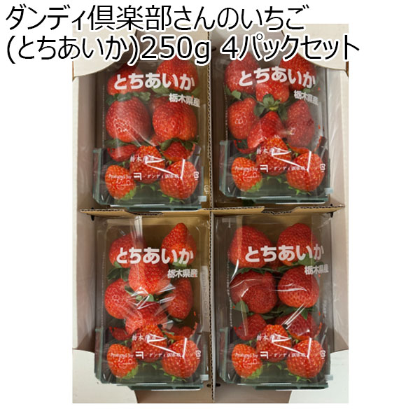 (栃木県)真岡市地区ダンディ倶楽部さんのいちご(とちあいか)250g 4パックセット【お届け期間2025/1/7-2025/3/31】【ふるさとの味・北関東】　商品画像1