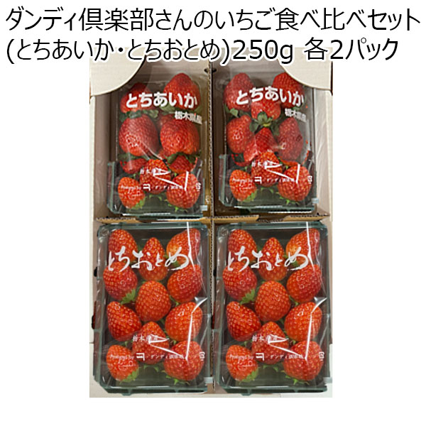 (栃木県)真岡市地区ダンディ倶楽部さんのいちご食べ比べセット(とちあいか・とちおとめ)250g 各2パック【限定50点】【お届け期間2025/1/7-2025/3/31】【ふるさとの味・北関東】　商品画像1