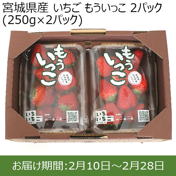 宮城県産 いちご もういっこ 2パック(250g×2パック)【お届け期間：2月10日〜2月28日】【Ａセレクション2月】　商品画像1