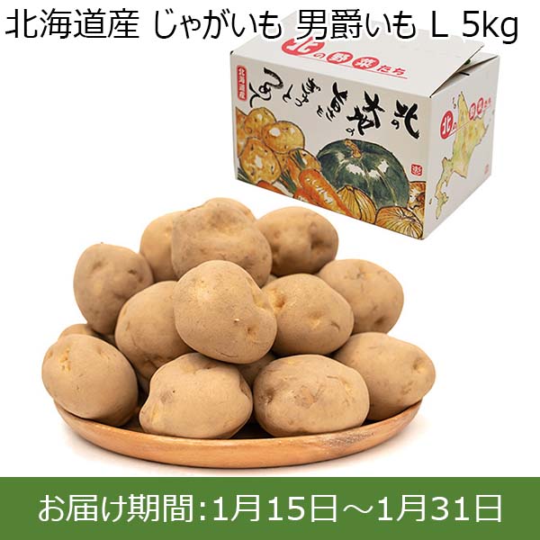 北海道産 じゃがいも 男爵いも L 5kg【お届け期間：1月15日〜1月31日】【初売り】　商品画像1