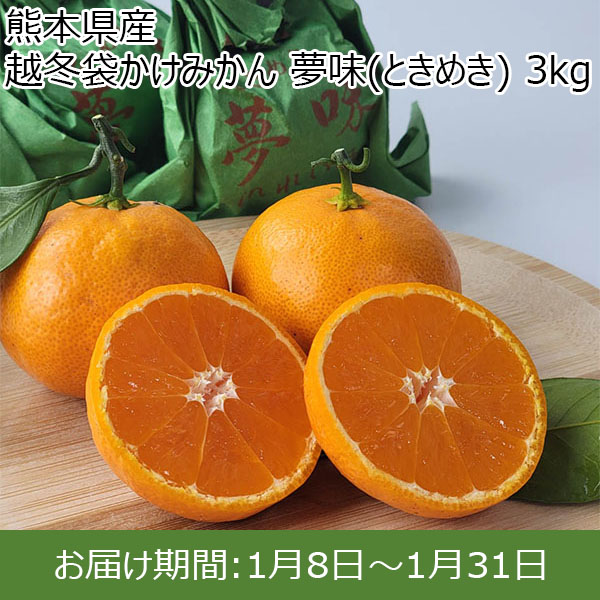 熊本県産  越冬袋かけみかん 夢味(ときめき) 3kg【お届け期間：1月8日〜1月31日】【初売り】　商品画像1