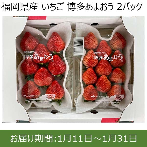 福岡県産 いちご 博多あまおう 2パック【限定200点】【お届け期間：1月11日〜1月31日】【初売り】　商品画像1