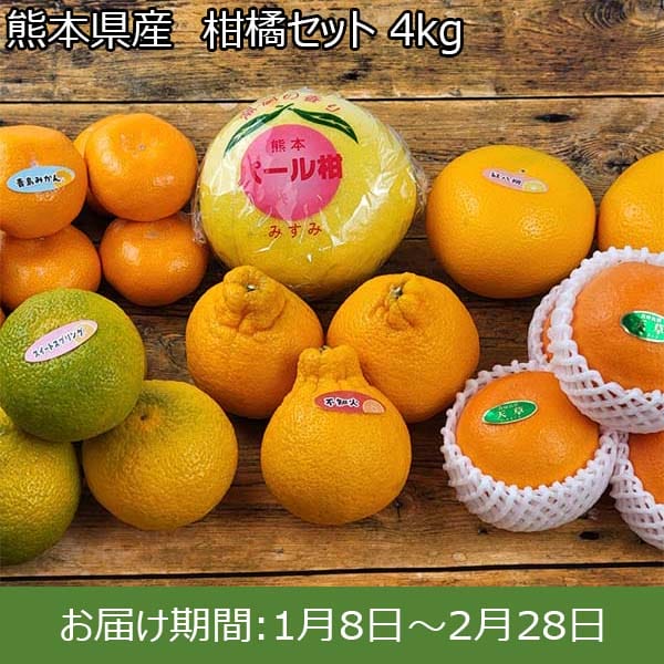 熊本県産  柑橘セット 4kg【お届け期間：1月8日〜2月28日】【初売り】　商品画像1