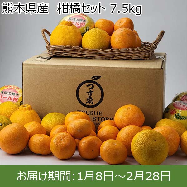 熊本県産  柑橘セット 7.5kg【お届け期間：1月8日〜2月28日】【初売り】　商品画像1