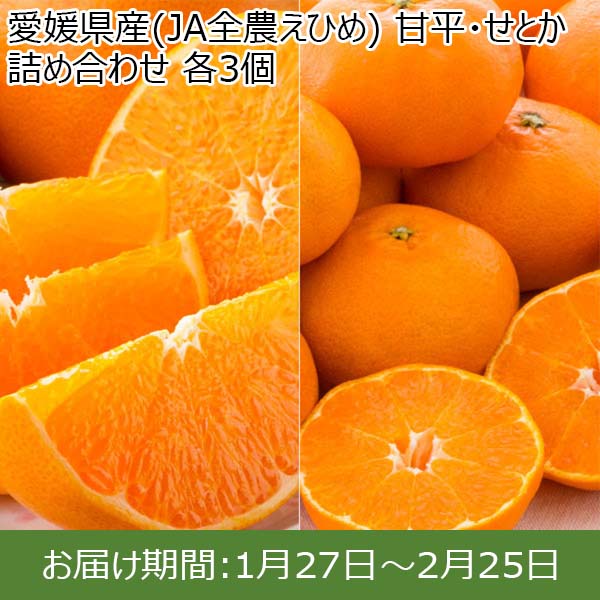 愛媛県産(JA全農えひめ) 甘平・せとか 詰め合わせ 各3個【限定50点】【お届け期間：1月27日〜2月25日】【イオンカード会員限定2月】　商品画像1