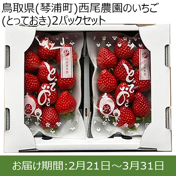 鳥取県(琴浦町)西尾農園のいちご(とっておき)2パックセット250g以上×2パック【お届け期間:2月21日〜3月31日】【ふるさとの味・中四国】　商品画像1