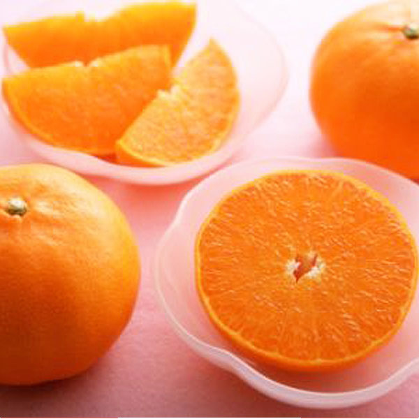 愛媛県産(JA全農えひめ) せとか 1.7kg 青秀3L 6個 【限定100点】【お届け期間:3月1日〜3月15日】【イオンゴールドカード会員さま限定特別セール2月】 商品画像1