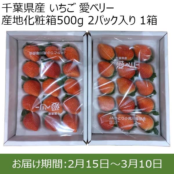 千葉県産 いちご 愛ベリー 産地化粧箱500g 2パック入り 1箱【限定100点】【お届け期間：2月15日〜3月10日】【おいしいお取り寄せ】　商品画像1