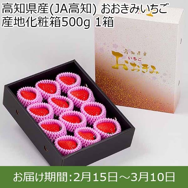 高知県産(JA高知) おおきみいちご 産地化粧箱500g 1箱【限定50点】【お届け期間：2月15日〜3月10日】【おいしいお取り寄せ】　商品画像1