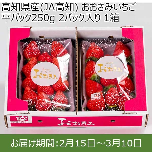 高知県産(JA高知) おおきみいちご 平パック250g 2パック入り 1箱【限定50点】【お届け期間：2月15日〜3月10日】【おいしいお取り寄せ】　商品画像1