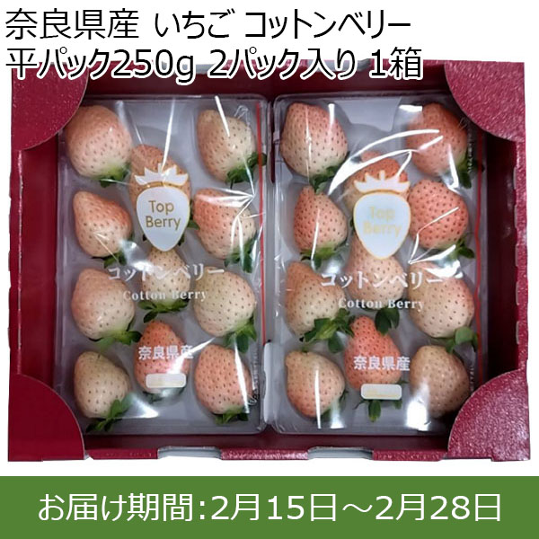 奈良県産 いちご コットンベリー 平パック250g 2パック入り 1箱【限定50点】【お届け期間：2月15日〜2月28日】【おいしいお取り寄せ】　商品画像1