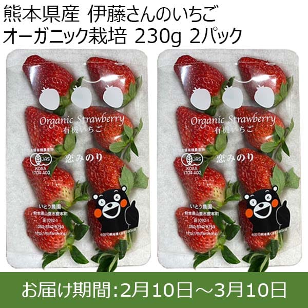 熊本県産 伊藤さんのいちご オーガニック栽培 230g 2パック ※ゆりかーご使用【限定200点】【お届け期間：2月10日〜3月10日】【おいしいお取り寄せ】　商品画像1