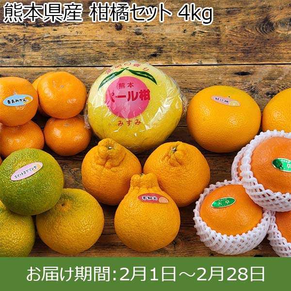 熊本県産 柑橘セット 4kg【お届け期間：2月1日〜2月28日】【お買い得セール1月】　商品画像1