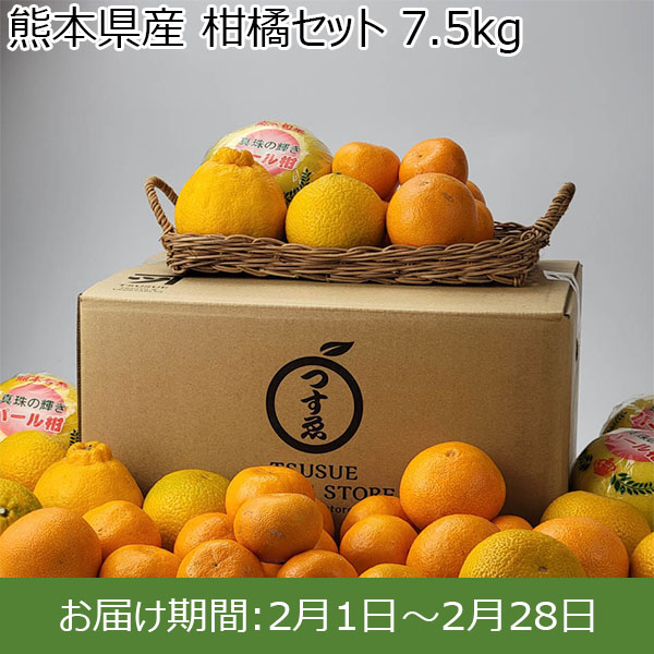 熊本県産 柑橘セット 7.5kg【お届け期間：2月1日〜2月28日】【お買い得セール1月】　商品画像1