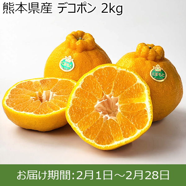 熊本県産 デコポン 2kg 【お届け期間：2月1日〜2月28日】【お買い得セール1月】　商品画像1