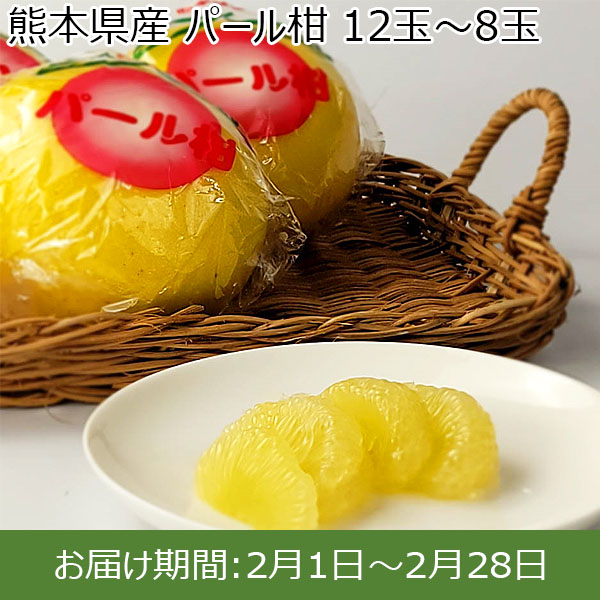 熊本県産 パール柑 12玉〜8玉 【お届け期間：2月1日〜2月28日】【お買い得セール1月】　商品画像1