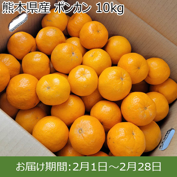 熊本県産 ポンカン 10kg 【お届け期間：2月1日〜2月28日】【お買い得セール1月】　商品画像1