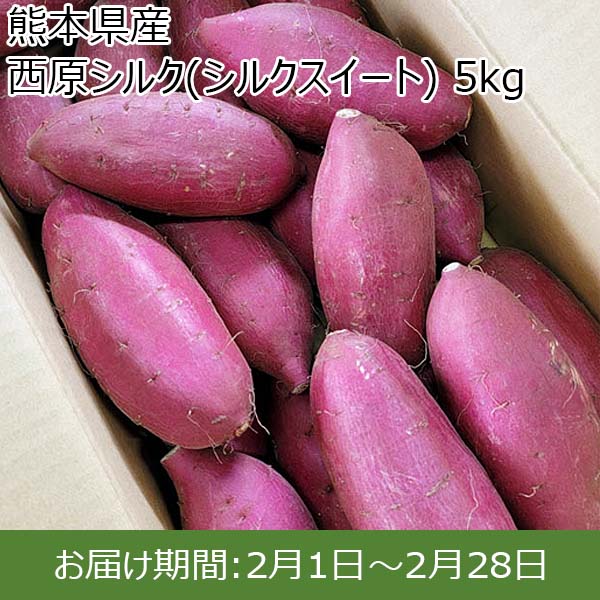 熊本県産 西原シルク(シルクスイート) 5kg 【お届け期間：2月1日〜2月28日】【お買い得セール1月】　商品画像1