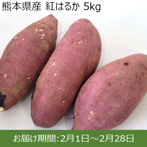 熊本県産 紅はるか 5kg 【お届け期間：2月1日〜2月28日】【お買い得セール1月】　商品画像1