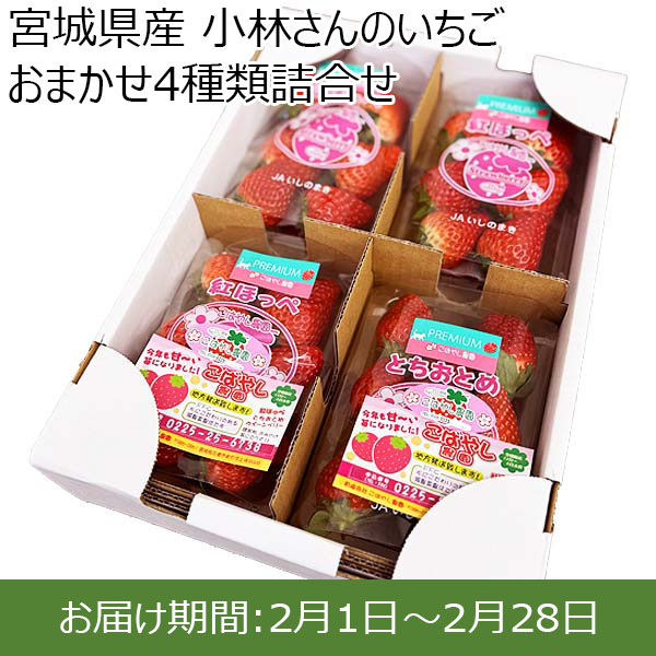 宮城県産 小林さんのいちご おまかせ4種類詰合せ 【限定200点】【お届け期間：2月1日〜2月28日】【お買い得セール1月】　商品画像1