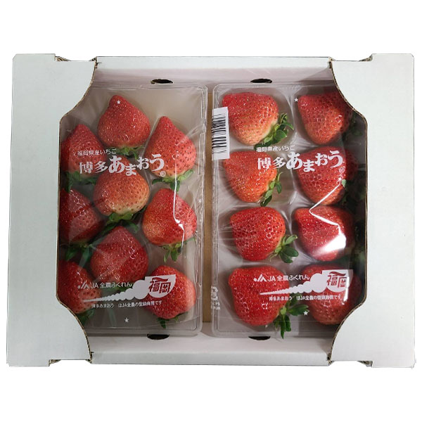 福岡県産 いちご 博多あまおう ゆりカーゴ(6・8・9・11玉) 250g×2パック【お届け期間：1月25日〜2月10日】【イオンゴールドカード会員さま限定特別セール1月】　商品画像1