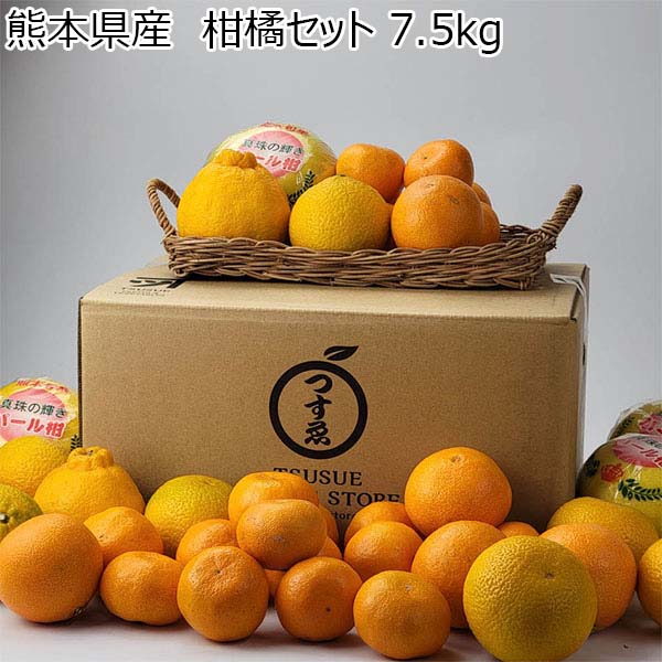 熊本県産 柑橘セット 7.5kg【お届け期間：2月20日〜3月10日】【お買い得セール2月】　商品画像1