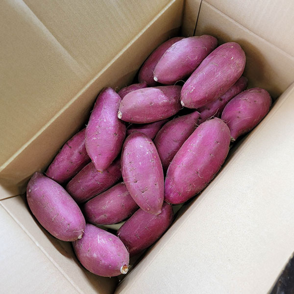 熊本県産 さつまいも 西原シルク(シルクスイート) 5kg Lサイズ【お届け期間:9月20日〜11月30日】【秋の大収穫祭】 果物・野菜【季節の贈り物&ご褒美ギフト】 熊本県産 さつまいも 西原シルク(シルクスイート) 5kg Lサイズ【お届け期間:9月20日〜11月30日】【秋の大収穫祭】 果物・野菜【季節の贈り物&ご褒美ギフト】