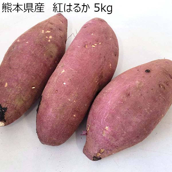 熊本県産 紅はるか 5kg【お届け期間：2月14日〜2月28日】【九州フェア】　商品画像1