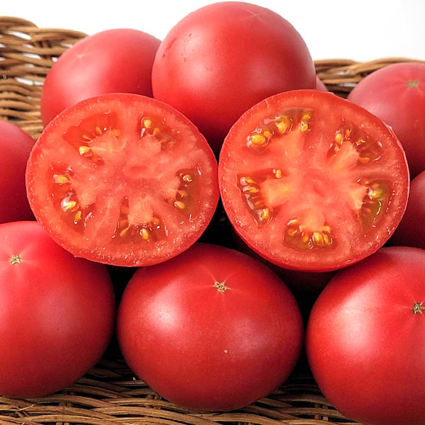 熊本県産JA熊本うき くまもと塩トマト 夢ロマン【お届け期間:3月1日〜3月25日】【イオンゴールドカード会員さま限定特別セール2月】 商品画像1