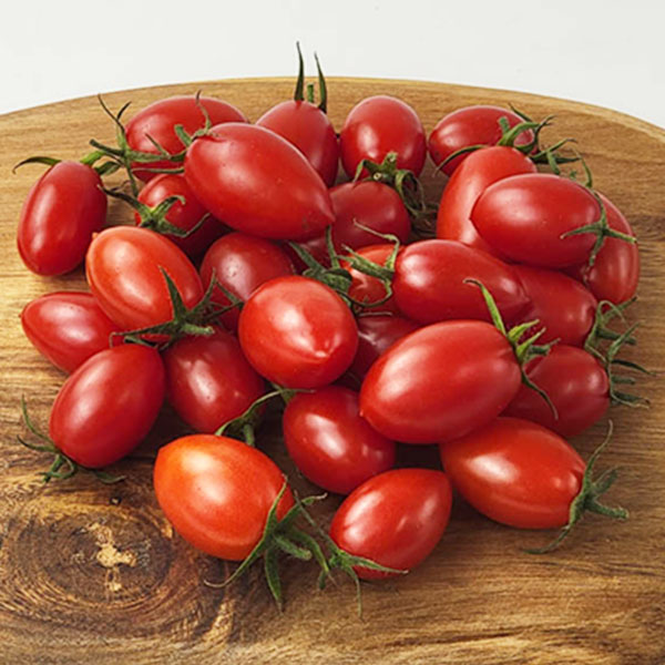 熊本県産 アイコトマト【お届け期間:3月1日〜3月25日】【イオンゴールドカード会員さま限定特別セール2月】 商品画像1