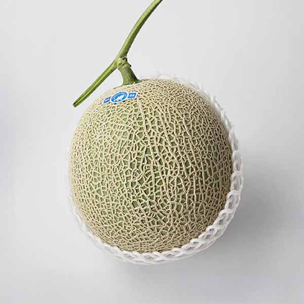 熊本県産 アールスメロン 1玉【お届け期間:3月1日〜3月25日】【イオンゴールドカード会員さま限定特別セール2月】 商品画像1