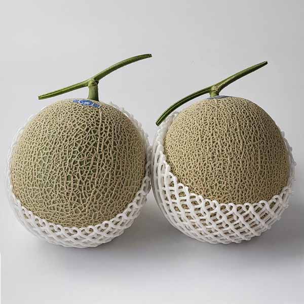 熊本県産 アールスメロン 2玉【お届け期間:3月1日〜3月25日】【イオンゴールドカード会員さま限定特別セール2月】 商品画像1