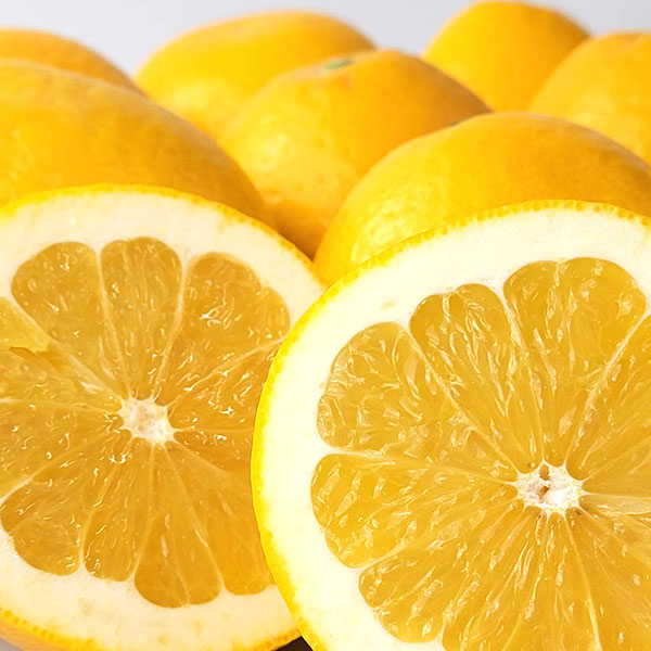 熊本県産 河内晩柑(ジューシーオレンジ) 5kg【お届け期間：4月1日〜4月25日】【超！春トク祭り】　商品画像1