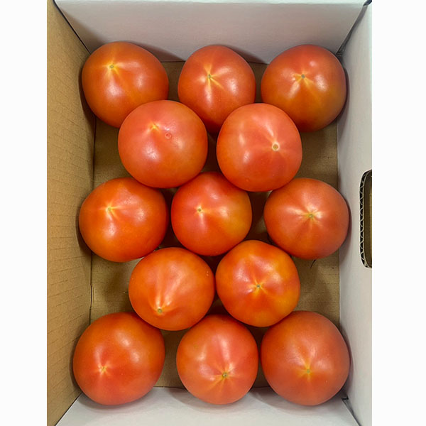 静岡県産 スイートピュア トマト 糖度8度 1kg【限定100点】【お届け期間:5月15日〜6月7日】【おいしいお取り寄せ】 果物・野菜【季節の贈り物&ご褒美ギフト】 静岡県産 スイートピュア トマト 糖度8度 1kg【限定100点】【お届け期間:5月15日〜6月7日】【おいしいお取り寄せ】 果物・野菜【季節の贈り物&ご褒美ギフト】