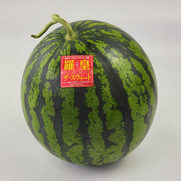 熊本県産 すいか 羅皇・ザ・スウィート 4L〜2Lサイズ 1玉【お届け期間:5月18日〜6月15日】【おいしいお取り寄せ】 果物・野菜【季節の贈り物&ご褒美ギフト】 熊本県産 すいか 羅皇・ザ・スウィート 4L〜2Lサイズ 1玉【お届け期間:5月18日〜6月15日】【おいしいお取り寄せ】 果物・野菜【季節の贈り物&ご褒美ギフト】