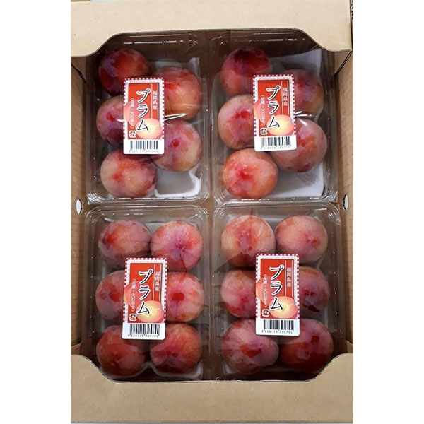 福岡県産(JAみなみ筑後・JAかすや・JAむなかた) 紅大石早生プラム 300g×4パック【お届け期間：6月13日〜6月21日】【イオンゴールドカード会員さま限定特別セール5月】　商品画像1