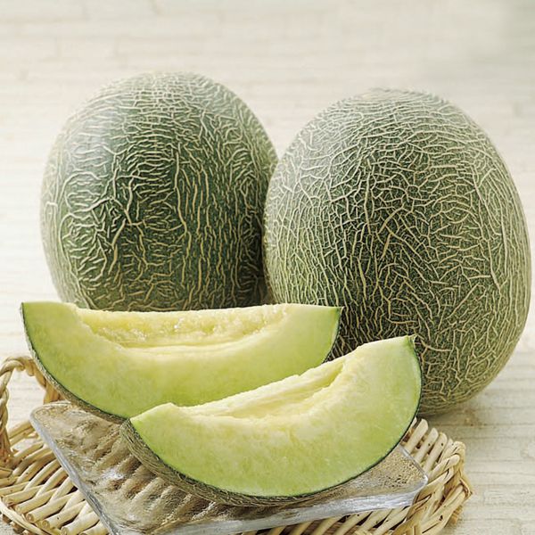 鳥取県産(倉吉市)後藤さんのペルルメロン 計5kg2玉入り【お届け期間:6月10日〜7月5日】【NN】 果物・野菜【季節の贈り物&ご褒美ギフト】 鳥取県産(倉吉市)後藤さんのペルルメロン 計5kg2玉入り【お届け期間:6月10日〜7月5日】【NN】 果物・野菜【季節の贈り物&ご褒美ギフト】