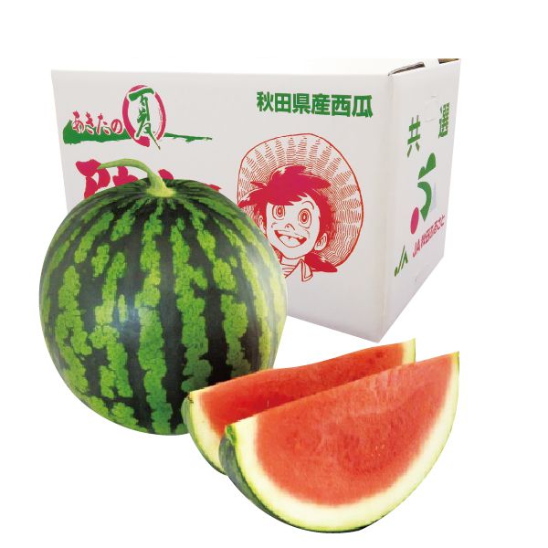 秋田県産 大玉西瓜 アカオニ 2Lサイズ 2玉入 【限定100点】【お届け期間:7/25(金)〜8/15(金)】【MK】 果物・野菜【季節の贈り物&ご褒美ギフト】 秋田県産 大玉西瓜 アカオニ 2Lサイズ 2玉入 【限定100点】【お届け期間:7/25(金)〜8/15(金)】【MK】 果物・野菜【季節の贈り物&ご褒美ギフト】