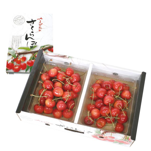 山形県産 さくらんぼ(大将錦) 秀品 Lサイズ以上 300g×2パックバラ詰め 【限定100点】【お届け期間:6/10(火)〜7/3(木)】【MK】　商品画像1
